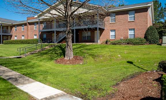 A tree in front of a building with a walkway in front of it.