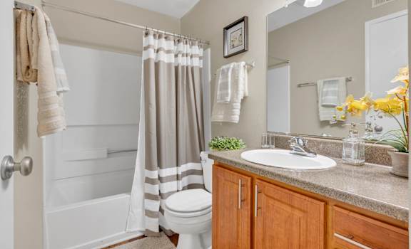 a bathroom with a sink and a toilet and a shower