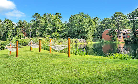 a hammock on the grass near a body of water