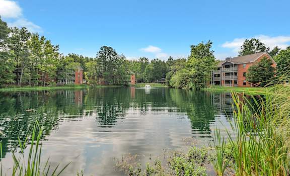 the view of the lake at the flats at walnut creek apartments