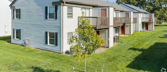 A row of houses with a tree in front of the first one.