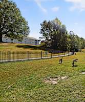 A grassy field with a fence and a building in the background.
