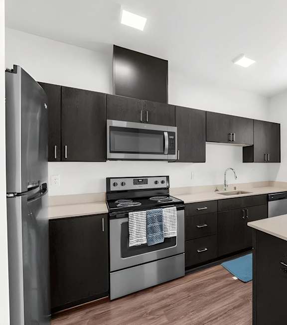 A modern kitchen with black cabinets and stainless steel appliances.