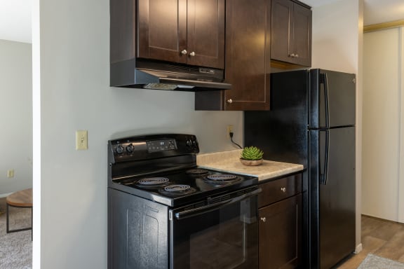an updated kitchen with black appliances and dark wood cabinets