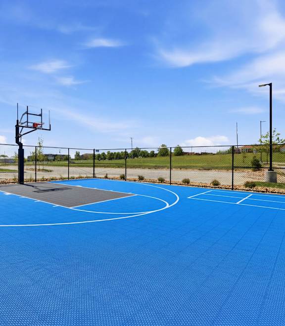 A basketball court with a blue circle in the middle.