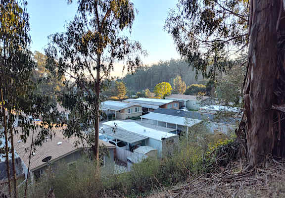 A view of homes and trees at Salinas Sunset Apartments, Salinas, CA, 93907