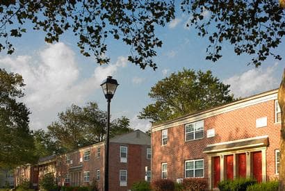 a row of brick buildings with trees and a street light