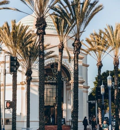 a row of palm trees in front of a building
