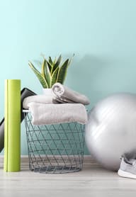 a gym ball and a basket with a plant on a table at Madison Rockwood, 63011