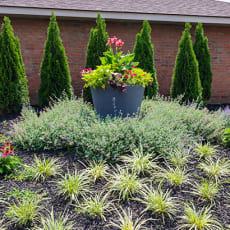 a large black pot with flowers in it in front of a brick house