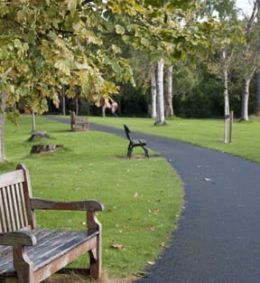 Park Bench in Park by walking trail