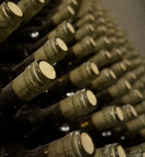 Wine Bottles stock photo