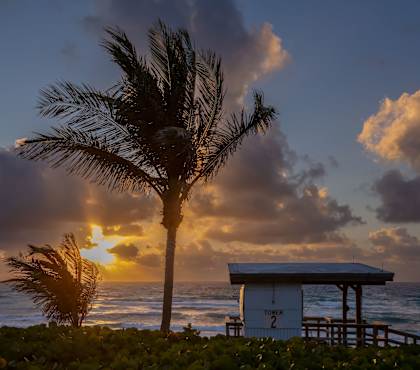 A palm tree stands in front of a lifeguard tower on a beach at sunset.