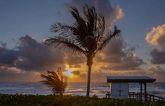 A palm tree stands in front of a lifeguard tower on a beach at sunset.
