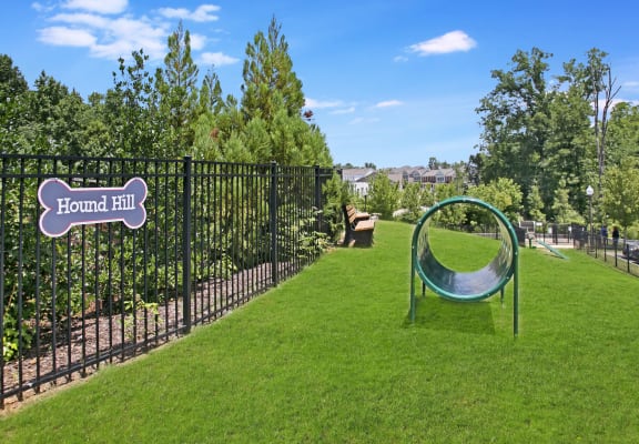 a large grassy area with a swing set and a trampoline