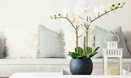 a white coffee table with a vase of flowers on it