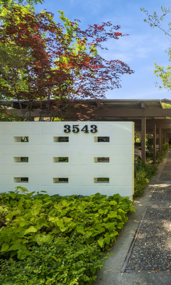 Exterior View at 3543 Brook Street, Lafayette, CA 94549