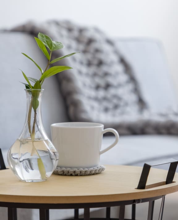 a living room with a couch and a coffee table with a vase with a plant on