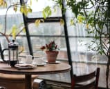 A french press and coffee mug sitting on a table near slanted windows while it rains outside. The image is framed by hanging tree branches.