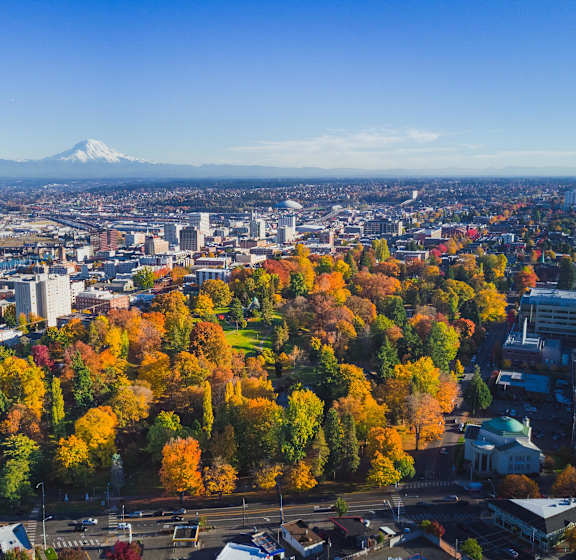A cityscape with a mountain in the background and trees with autumn leaves in the foreground.