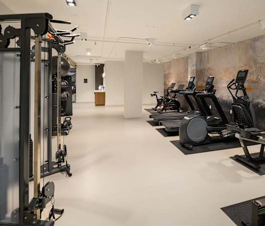 a group of exercise machines in a gym with a mural on the wall at Liza Apartments, Washington