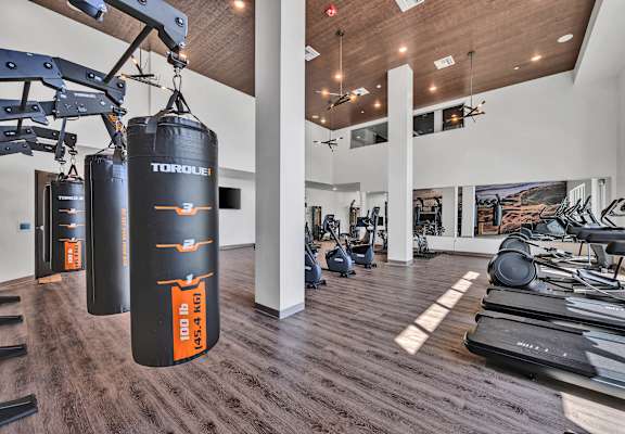 A gym with a punching bag that says "TORQUE" on it.