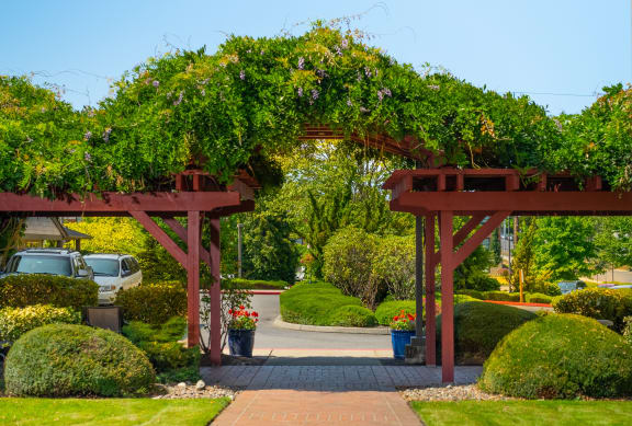 a grapevine covered gazebo in a garden