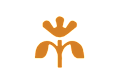 A solid orange square with no text or other elements.