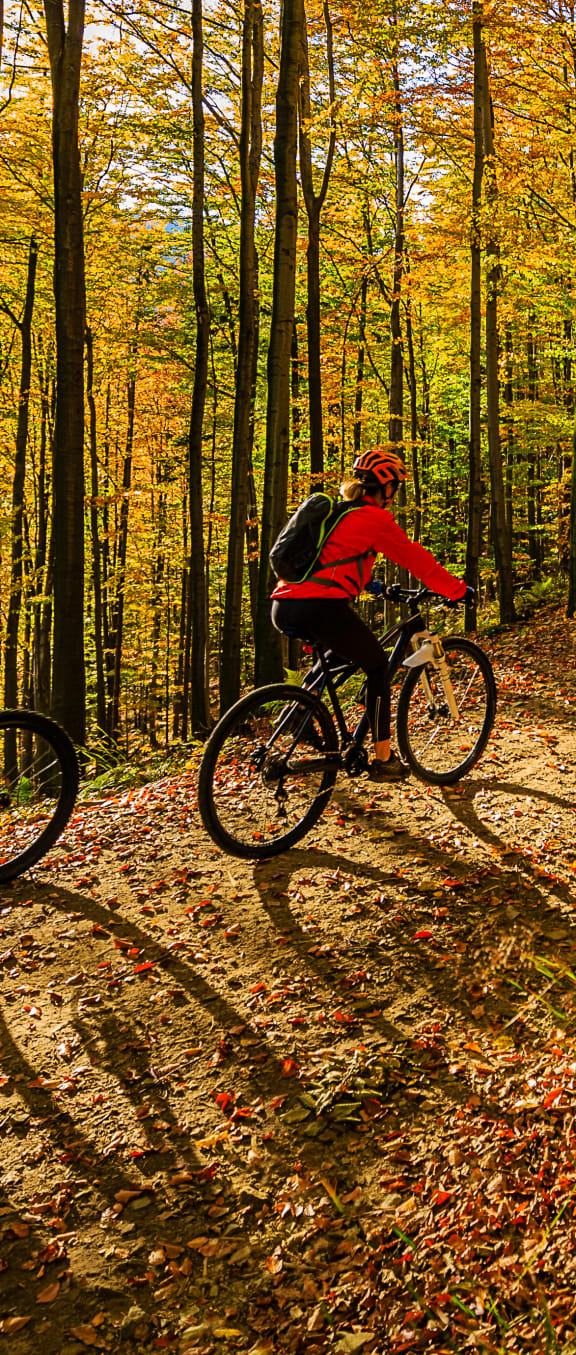 two people riding bikes on a trail in the woods
