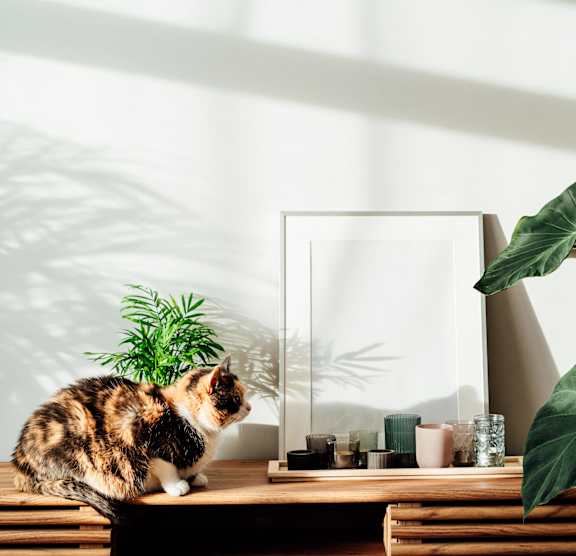 a cat sitting on a desk with plants and a mirror