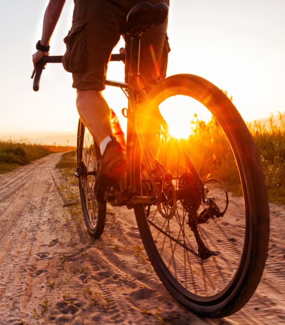 a person riding a bike down a dirt road with the sun shining on the wheel