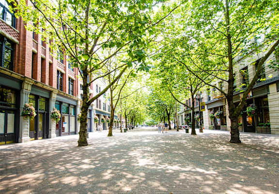 a city street with trees and buildings