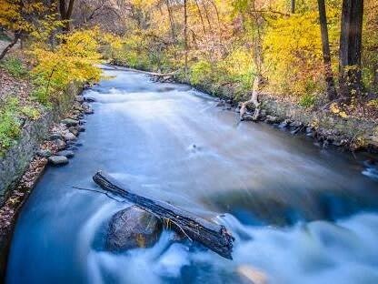 a river with a log in the water