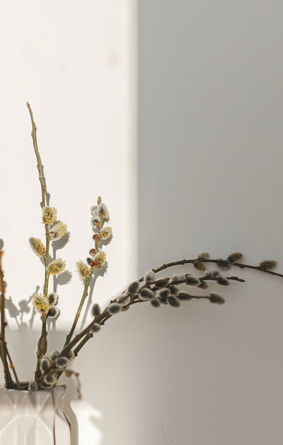 A vase with a branch of flowers in it. at Callaway at Holland Pointe Apartments, Iowa