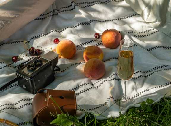 A person is sitting on a blanket with a book, a camera, a glass of champagne, and some fruit.