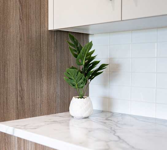 a vase with a plant on a marble kitchen counter