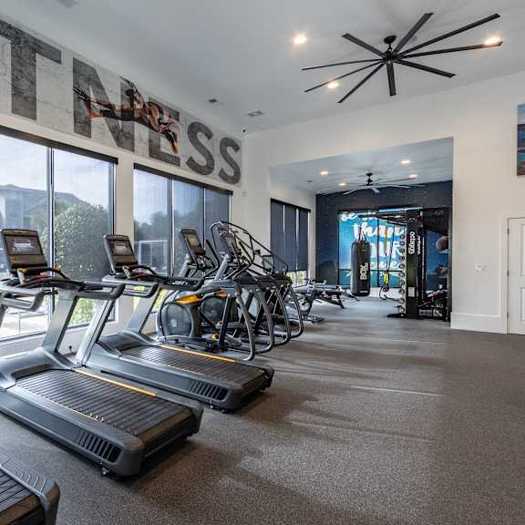A gym with treadmills and exercise bikes.