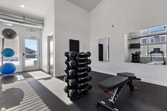 A gym with a blue ball, a bench, and a stack of weights.