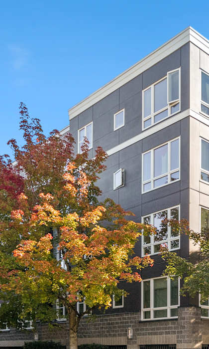 A tree with orange leaves is in front of a grey building.