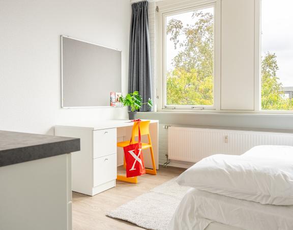 A white bedroom with a bed, a cabinet, a window, and a plant.