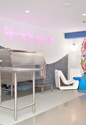 A rendering of a pet spa with washing area and colorful mural on the wall of a dog 