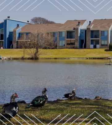 Regatta Apartments Exterior and View of Pond