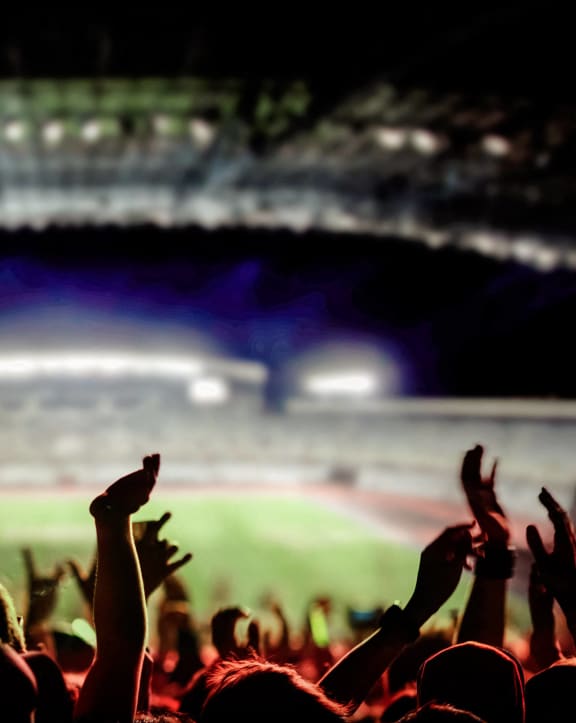 people cheering at a soccer game at a stadium