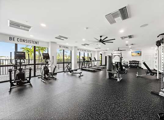 the state of the art gym is equipped with cardio equipment and weights