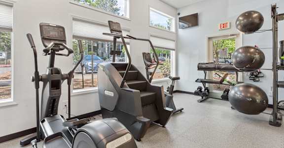 A gym with treadmills, exercise balls, and weight machines.