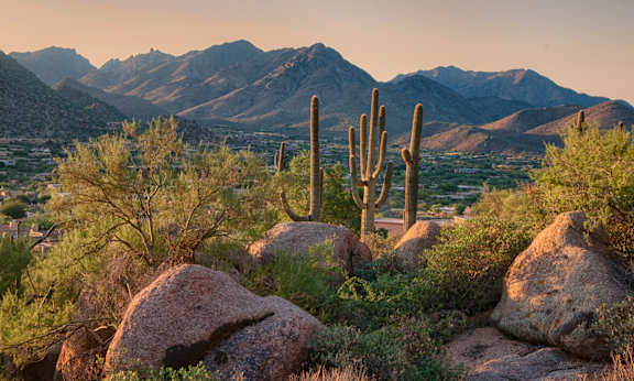 a view of the desert and mountains with a cactus and rocks