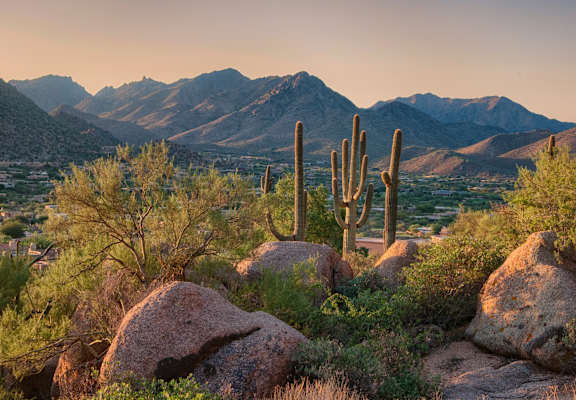 a view of the desert and mountains with a cactus and rocks