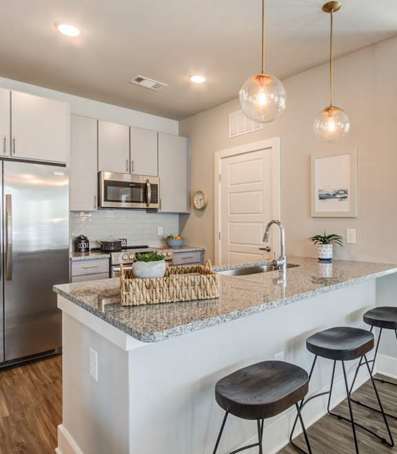 Amazing kitchens with modern appliances at Bellary Flats , South Carolina