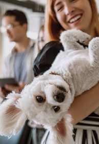 Woman with a dog in her arms at Vivant Woodholme, Pikesville
