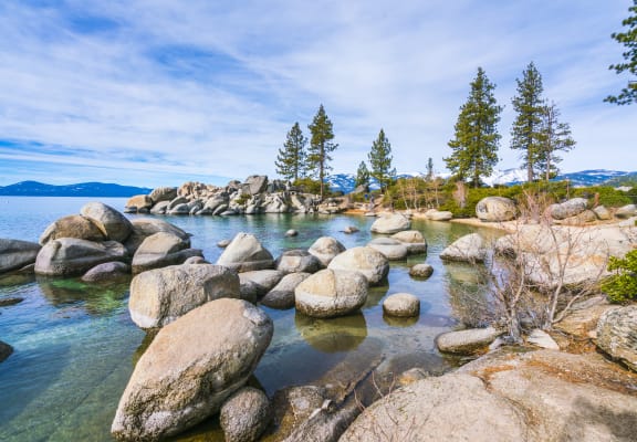a rocky shoreline with trees in the background and a body of water in the foreground